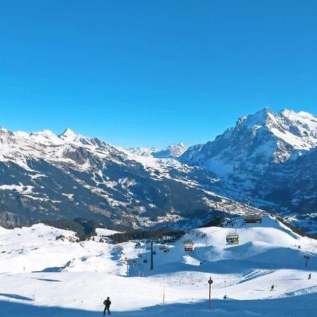 Chalet Aphrodite Ost Grindelwald Exterior foto