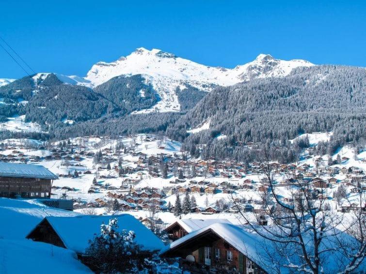 Chalet Aphrodite Ost Grindelwald Exterior foto
