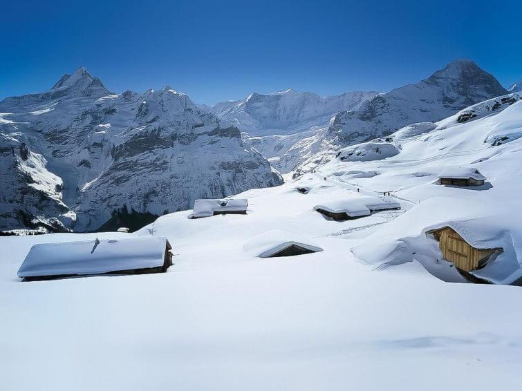 Chalet Aphrodite Ost Grindelwald Exterior foto