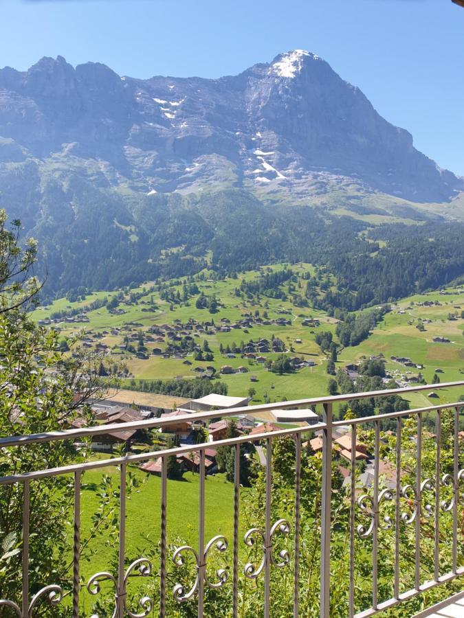Chalet Aphrodite Ost Grindelwald Exterior foto